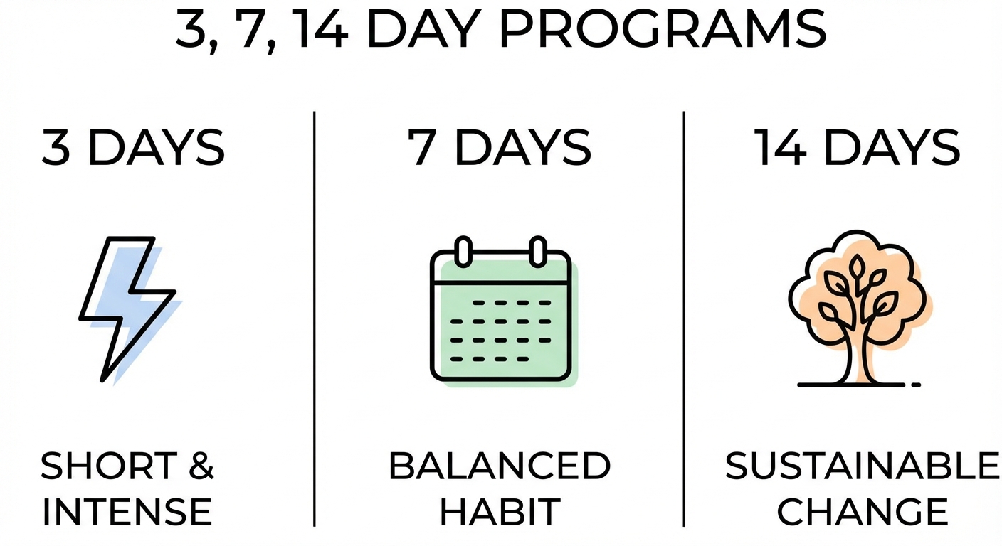 덴마크 다이어트 식단 배달 프로그램 종류 비교